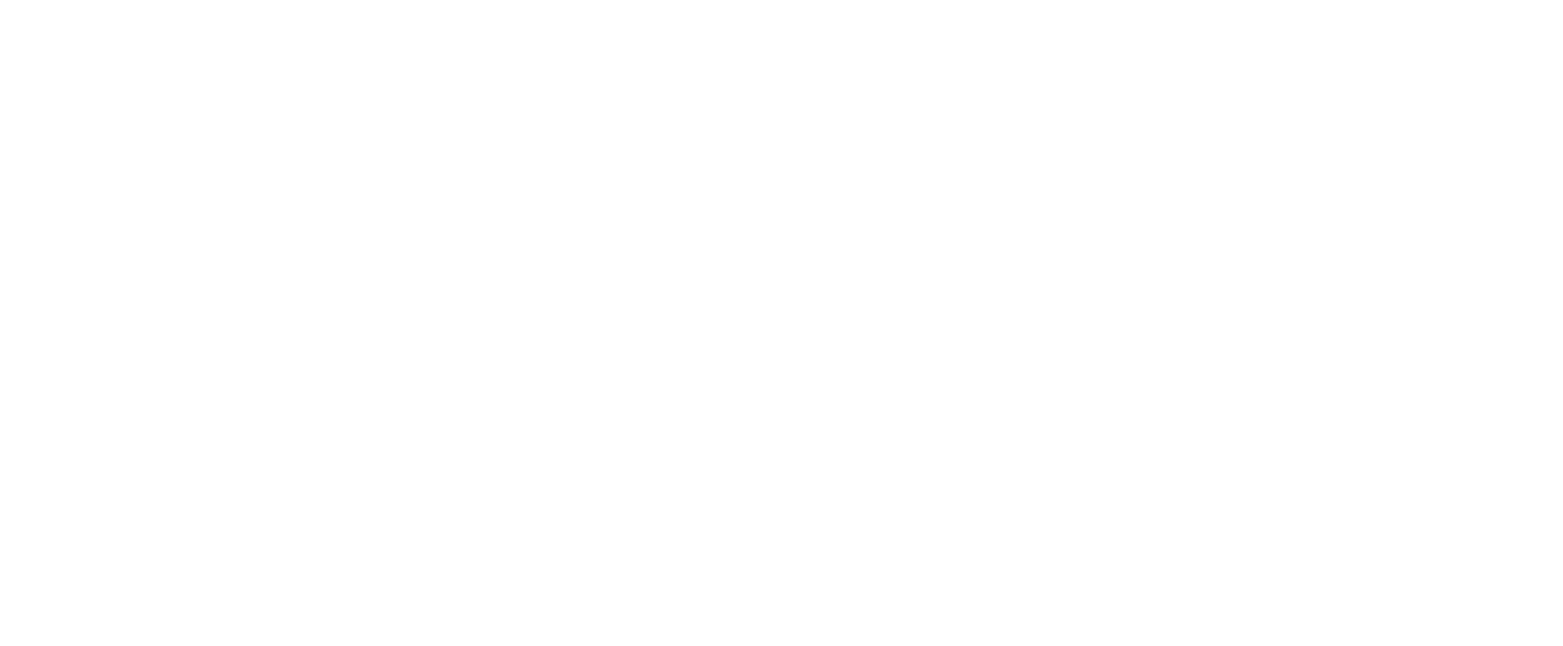 Protect Group_ White-Primary Logo
